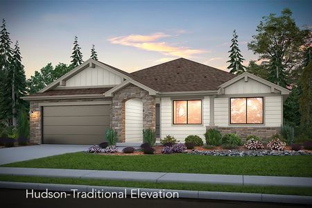New construction Single-Family house Hudson, 3027 Barn Swallow Drive, Fort Collins, CO 80524 - photo