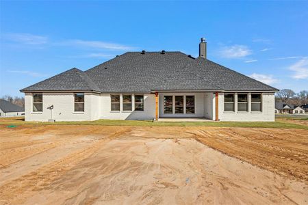 New construction Single-Family house 10020 Valley Oak Court, Springtown, TX 76082 - photo 20 20