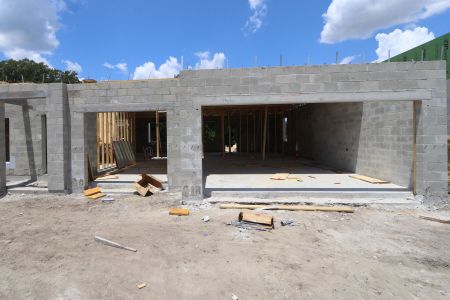 New construction Single-Family house 9611 Crescent Ray Drive, Wesley Chapel, FL 33545 Dali- photo 14 14