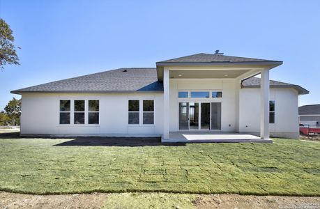 New construction Single-Family house 142 Alondra Ln, Spring Branch, TX 78070 - photo 29 29