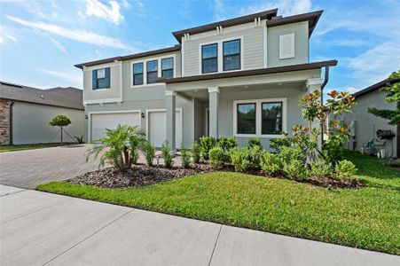 New construction Single-Family house 21662 Snowy Orchid Terrace, Land O' Lakes, FL 34637 - photo