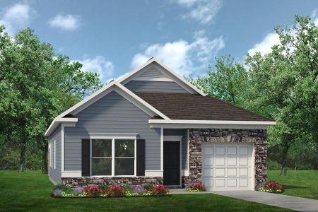New construction Single-Family house 455 Hawkinstown Road, Salisbury, NC 28144 - photo 3 3