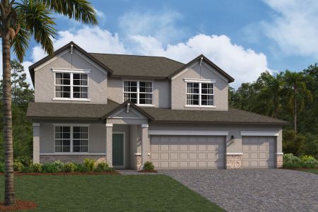 New construction Single-Family house 5062 Bromeliad Avenue, Wimauma, FL 33598 Salinas- photo 3 3