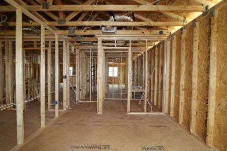 New construction Single-Family house 12383 Hilltop Farms Drive, Dade City, FL 33525 Malibu- photo 38 38