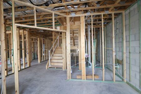 New construction Single-Family house 2530 Sunny Pebble Loop, Zephyrhills, FL 33540 Salinas- photo 18 18