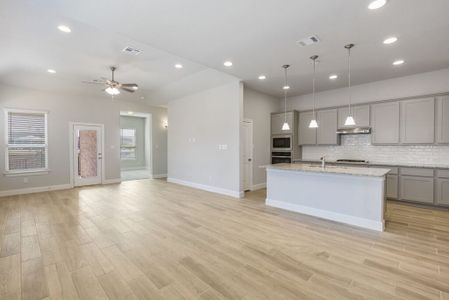 New construction Single-Family house Windsor, 13007 Blue Flame Drive, San Antonio, TX 78245 - photo