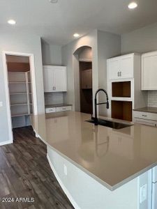 New construction Single-Family house 2891 W Lynx Drive, San Tan Valley, AZ 85144 Harris Beach- photo 4 4