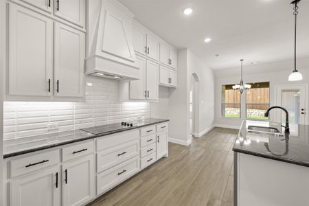 New construction Single-Family house 4409 Verbena Street, Midlothian, TX 76065 Concept 2555- photo 13 13