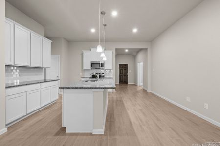 New construction Single-Family house 219 Jordans Estates, San Antonio, TX 78264 Desoto- photo 4 4