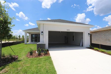 New construction Single-Family house 28768 Rambutan Drive, Wesley Chapel, FL 33543 The Mapleton- photo 5 5