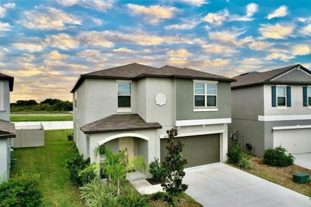 New construction Single-Family house 14437 Touch Gold Lane, Ruskin, FL 33573 - photo 1 1
