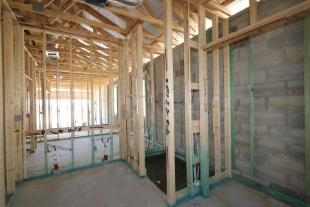 New construction Single-Family house 31843 Sapna Chime Drive, Wesley Chapel, FL 33545 Picasso- photo 40 40