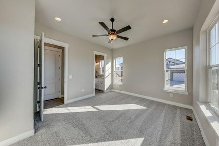 New construction Multi-Family house 8412 Cromwell Circle, Windsor, CO 80528 - photo 24 24