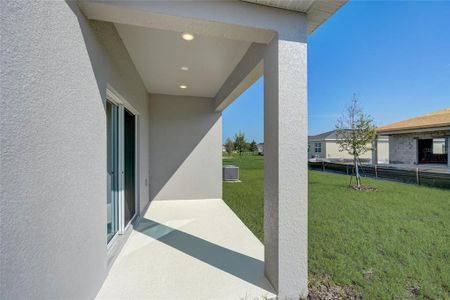 New construction Single-Family house 22382 Country House Drive, Sorrento, FL 32776 - photo 86 86