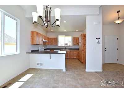New construction Single-Family house 2315 Graceful St, Windsor, CO 80550 The Michigan- photo 11 11