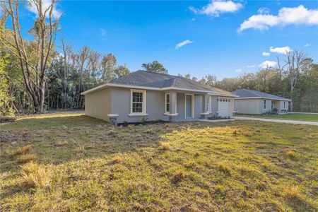 New construction Single-Family house 2874 Se 143Rd Place, Summerfield, FL 34491 - photo