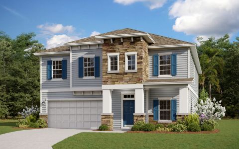 New construction Single-Family house Wellington - 60' Homesites, 24 Goldcrest Way, Saint Augustine, FL 32092 - photo