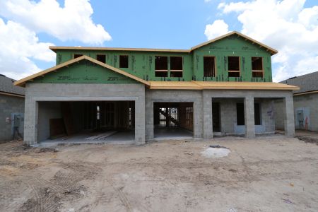 New construction Single-Family house 32556 Sapna Chime Drive, Wesley Chapel, FL 33545 Dali- photo 37 37