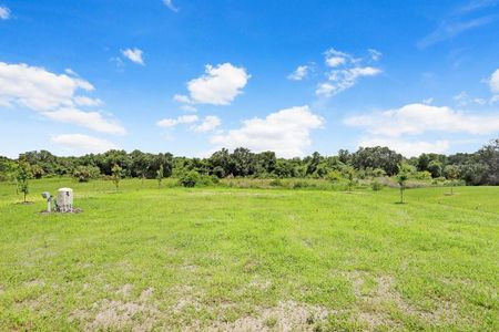 New construction Single-Family house 5112 Lake Toscana Drive, Wimauma, FL 33598 Burano- photo 14 14