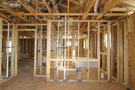 New construction Single-Family house 5238 Currant Street, Lakeland, FL 33811 Marina- photo 34 34