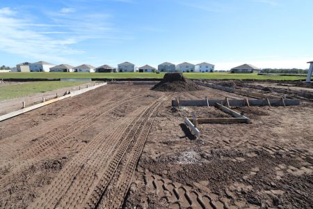 New construction Single-Family house 2974 Marine Grass Drive, Wimauma, FL 33598 Alenza- photo 4 4