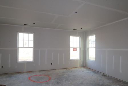 New construction Single-Family house 3005 June Lake Station, Apex, NC 27502 Viola - Premier Collection- photo 17