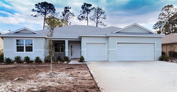 New construction Single-Family house 273 Westhampton Drive, Palm Coast, FL 32164 - photo 0