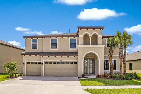 New construction Single-Family house 13275 Twin Bridges Drive, Riverview, FL 33579 Virginia Park- photo 0