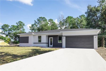 New construction Single-Family house 1125 Munster Court, Kissimmee, FL 34759 - photo 0