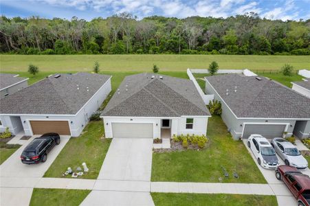 New construction Single-Family house 3400 Curlew Avenue, Leesburg, FL 34748 - photo