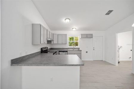 New construction Single-Family house 24217 Nw Geranium Avenue, Dunnellon, FL 34431 - photo 7 7
