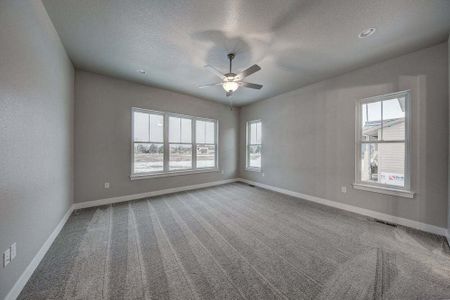 New construction Single-Family house 8412 Cromwell Circle, Windsor, CO 80528 - photo 91 91
