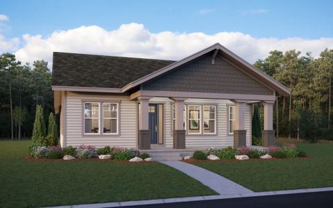New construction Single-Family house 2015 Squib Lane, Fort Collins, CO 80524 Atrium- photo 0 0