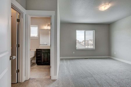 New construction Townhouse house 6248 Vernazza Way, Windsor, CO 80550 - photo 210 210