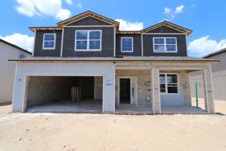 New construction Single-Family house 38433 Pindos Drive, Dade City, FL 33525 Mira Lago- photo 8 8