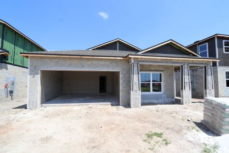 New construction Single-Family house 31843 Sapna Chime Drive, Wesley Chapel, FL 33545 Picasso- photo 49 49