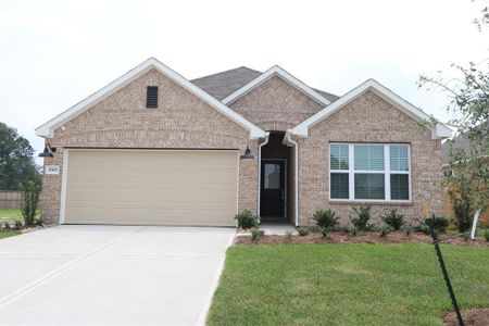 New construction Single-Family house 17307 Silver Birch Court, New Caney, TX 77357 Freestone - photo 1 1