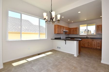 New construction Single-Family house Big Horn Parkway, Johnstown, CO 80534 - photo 11 11