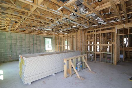 New construction Single-Family house 2852 Misty Marble Drive, Zephyrhills, FL 33540 Castellana- photo 70 70