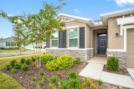 New construction Single-Family house 13370 Waterleaf Garden Circle, Riverview, FL 33579 - photo 2 2