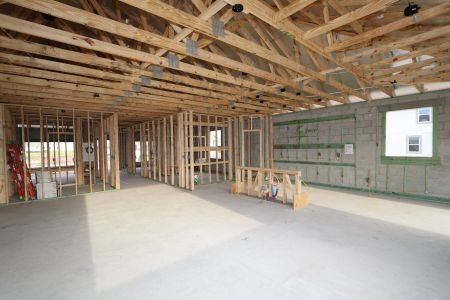 New construction Single-Family house 2941 Marine Grass Drive, Wimauma, FL 33598 Barcello- photo 13 13