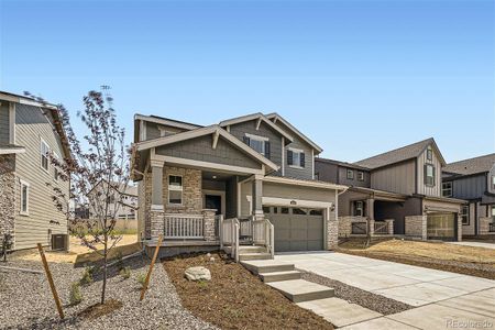 New construction Single-Family house 3934 N Picadilly Court, Aurora, CO 80019 Elbert- photo 9 9