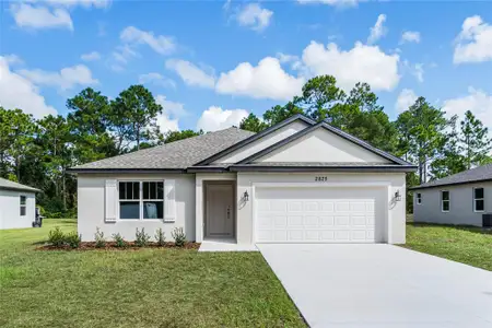 New construction Single-Family house 2825 Old New York Avenue, Deland, FL 32720 - photo 0