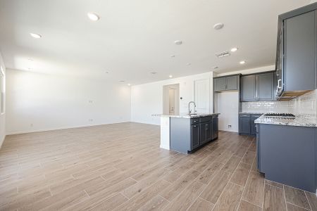 New construction Single-Family house 4292 W Sebastian Ln, San Tan Valley, AZ 85142 Lagoon- photo 51 51