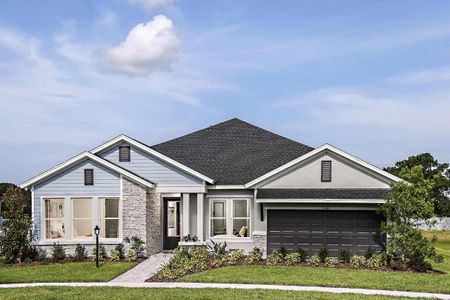 New construction Single-Family house The Polluck, 13495 Bergamont Circle, Tampa, FL 33618 - photo