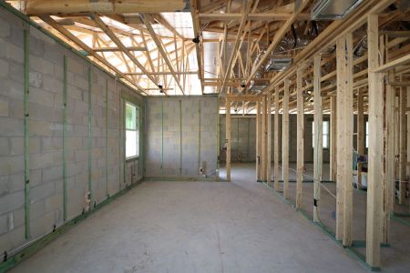 New construction Single-Family house 31843 Sapna Chime Drive, Wesley Chapel, FL 33545 Picasso- photo 38 38
