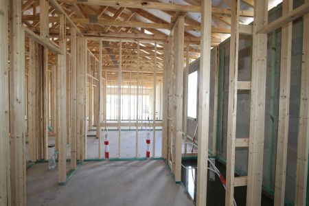 New construction Single-Family house 31843 Sapna Chime Drive, Wesley Chapel, FL 33545 Picasso- photo 33 33