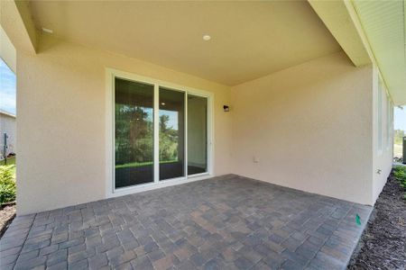 New construction Single-Family house 923 Signet Drive, Apollo Beach, FL 33572 - photo 70 70