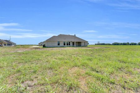 New construction Single-Family house 2320 Maywood Lane, Palmer, TX 75152 - photo 29 29