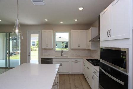New construction Single-Family house 5932 Golden Nettle Drive, Apollo Beach, FL 33572 - photo 9 9